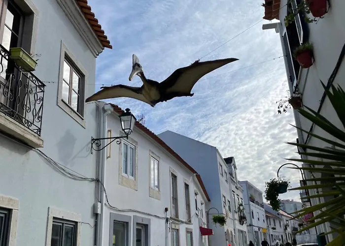 1bd Close To Lourinha (Lisbon)