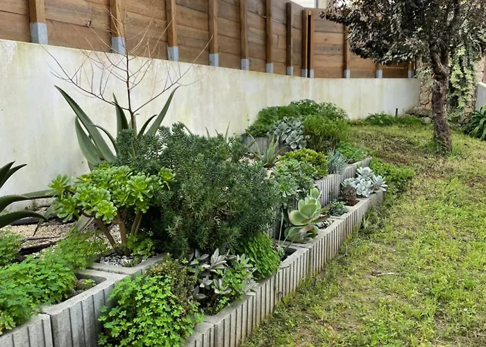 Διαμέρισμα 1bd Close To Lourinha (Lisbon)